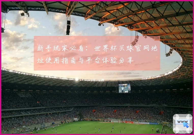 新手玩家必看：世界杯买球官网地址使用指南与平台体验分享