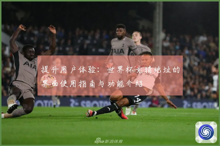 提升用户体验：世界杯竞猜地址的界面使用指南与功能介绍
