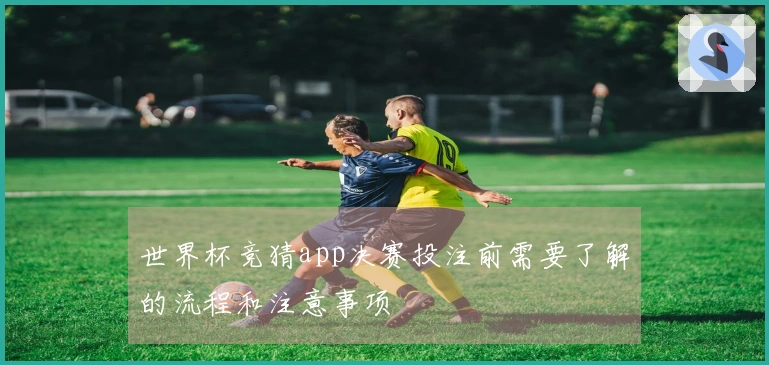 世界杯竞猜app决赛投注前需要了解的流程和注意事项