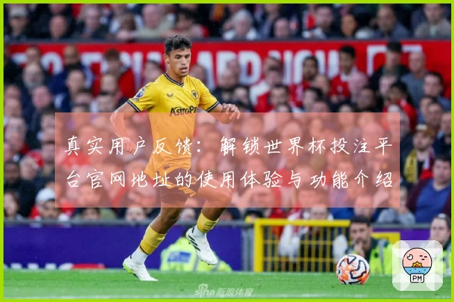 真实用户反馈：解锁世界杯投注平台官网地址的使用体验与功能介绍