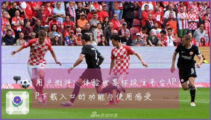 用户测评：体验世界杯投注平台APP下载入口的功能与使用感受