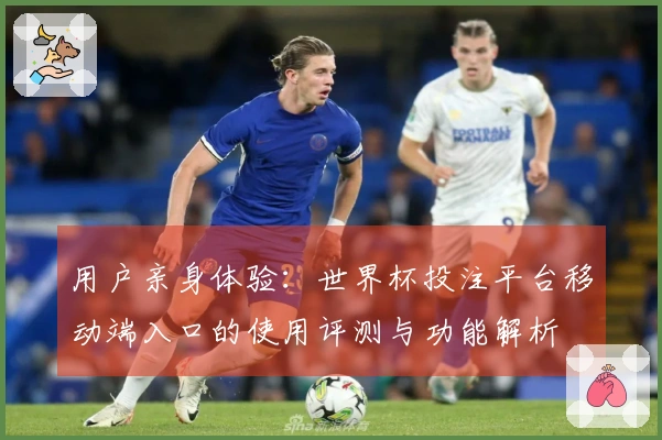 用户亲身体验：世界杯投注平台移动端入口的使用评测与功能解析