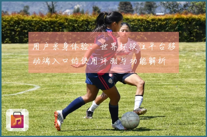 用户亲身体验：世界杯投注平台移动端入口的使用评测与功能解析