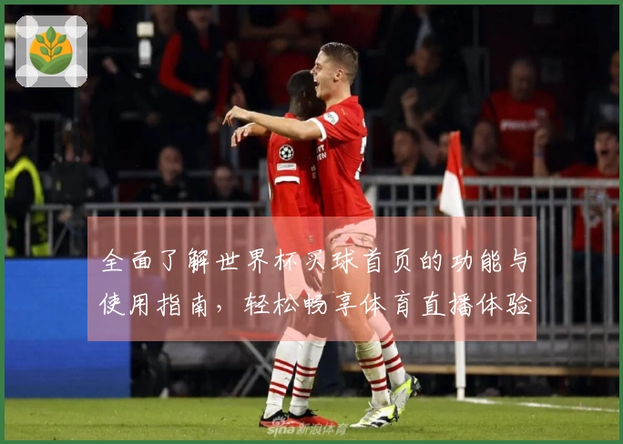 全面了解世界杯买球首页的功能与使用指南，轻松畅享体育直播体验