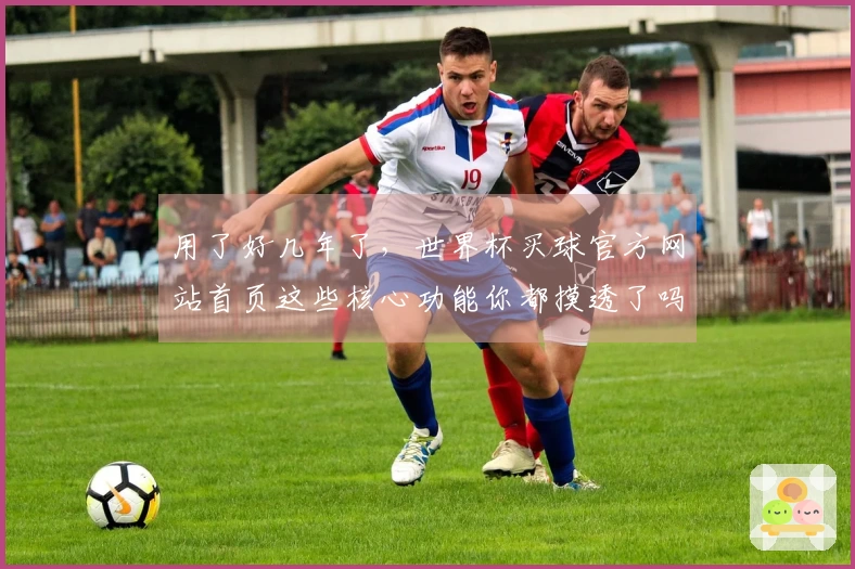 用了好几年了，世界杯买球官方网站首页这些核心功能你都摸透了吗