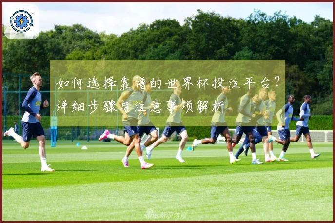 如何选择靠谱的世界杯投注平台？详细步骤与注意事项解析