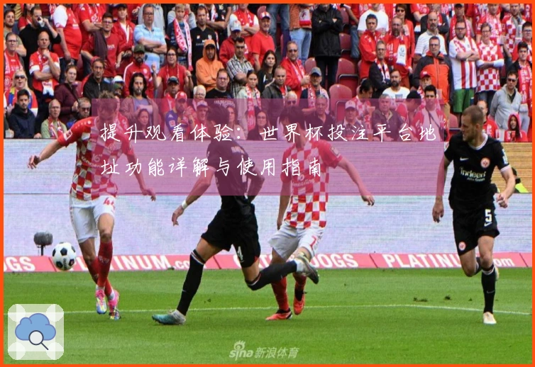 提升观看体验：世界杯投注平台地址功能详解与使用指南