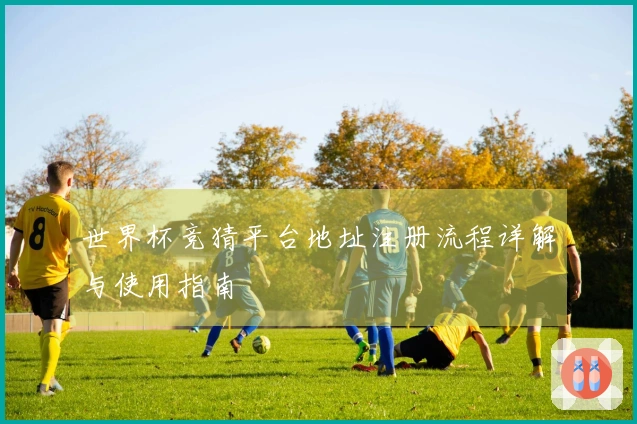 世界杯竞猜平台地址注册流程详解与使用指南