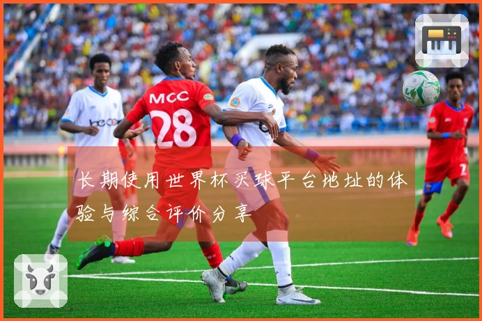 长期使用世界杯买球平台地址的体验与综合评价分享
